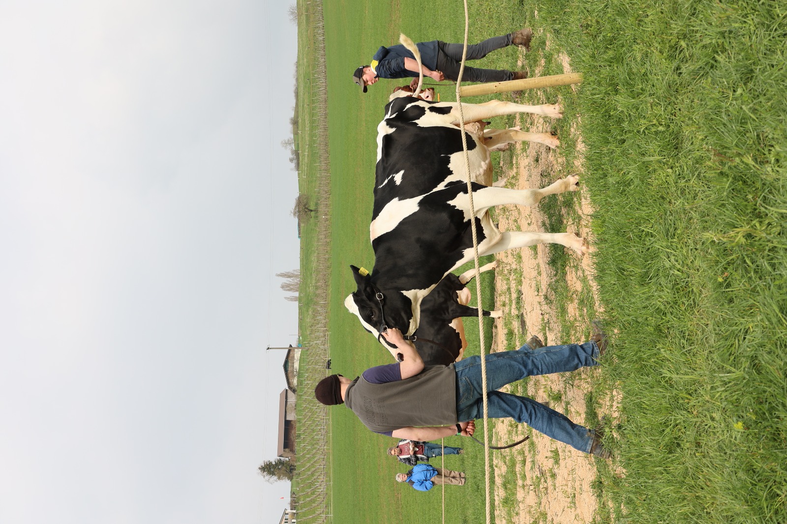 Einblicke in die Viehschau vom 29.03.2025